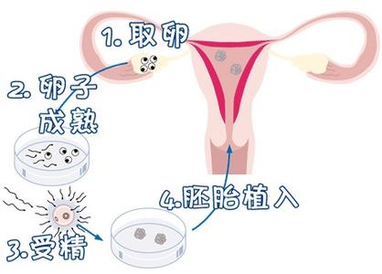 安悦佳妇产医院
